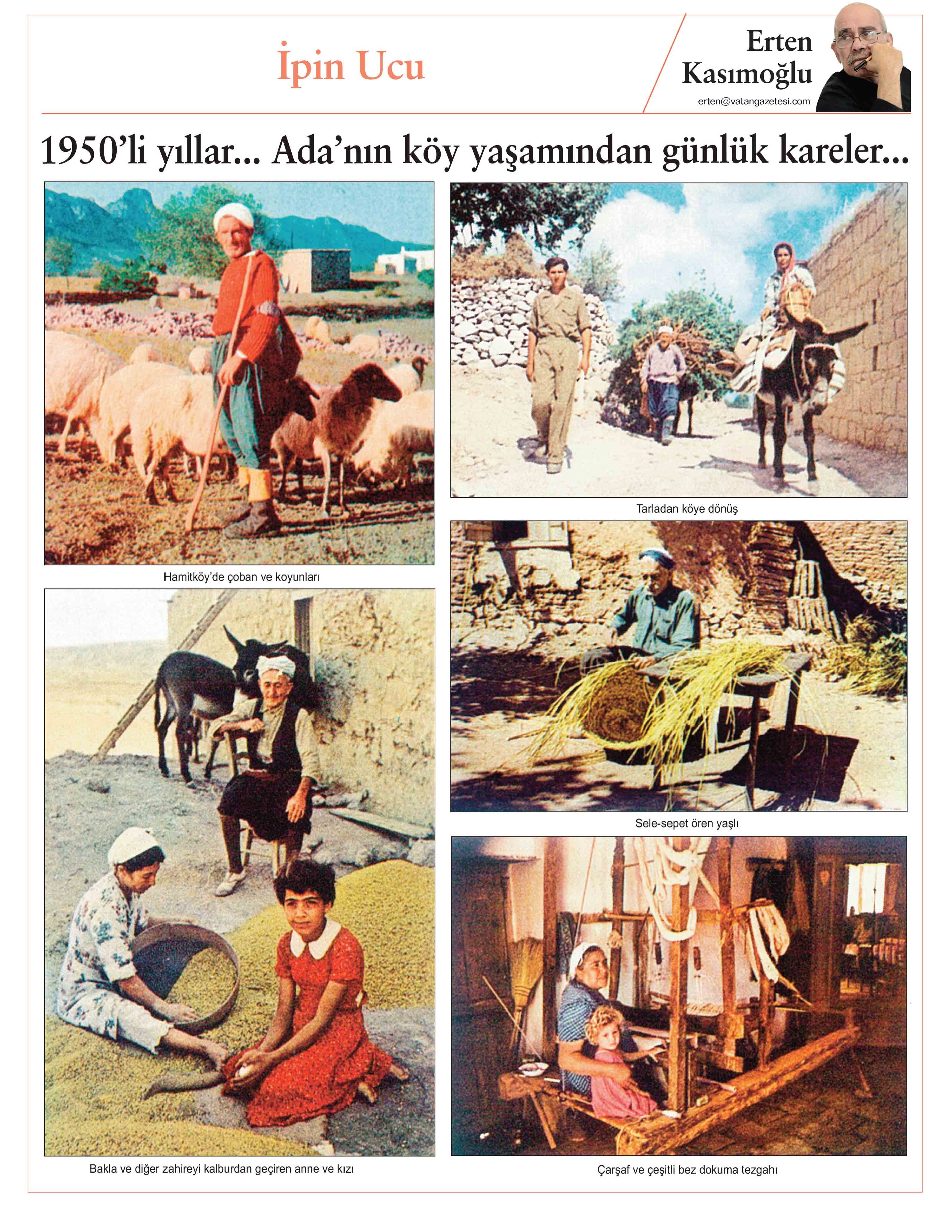 Yazi-584