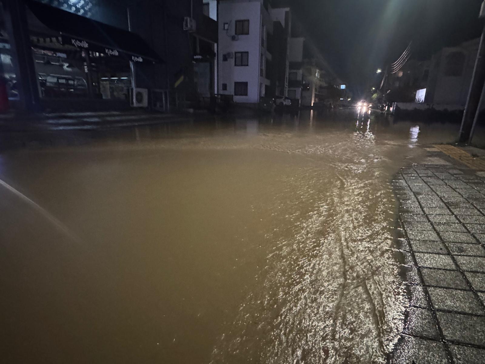 1765349701814Sel (Mk) (15)