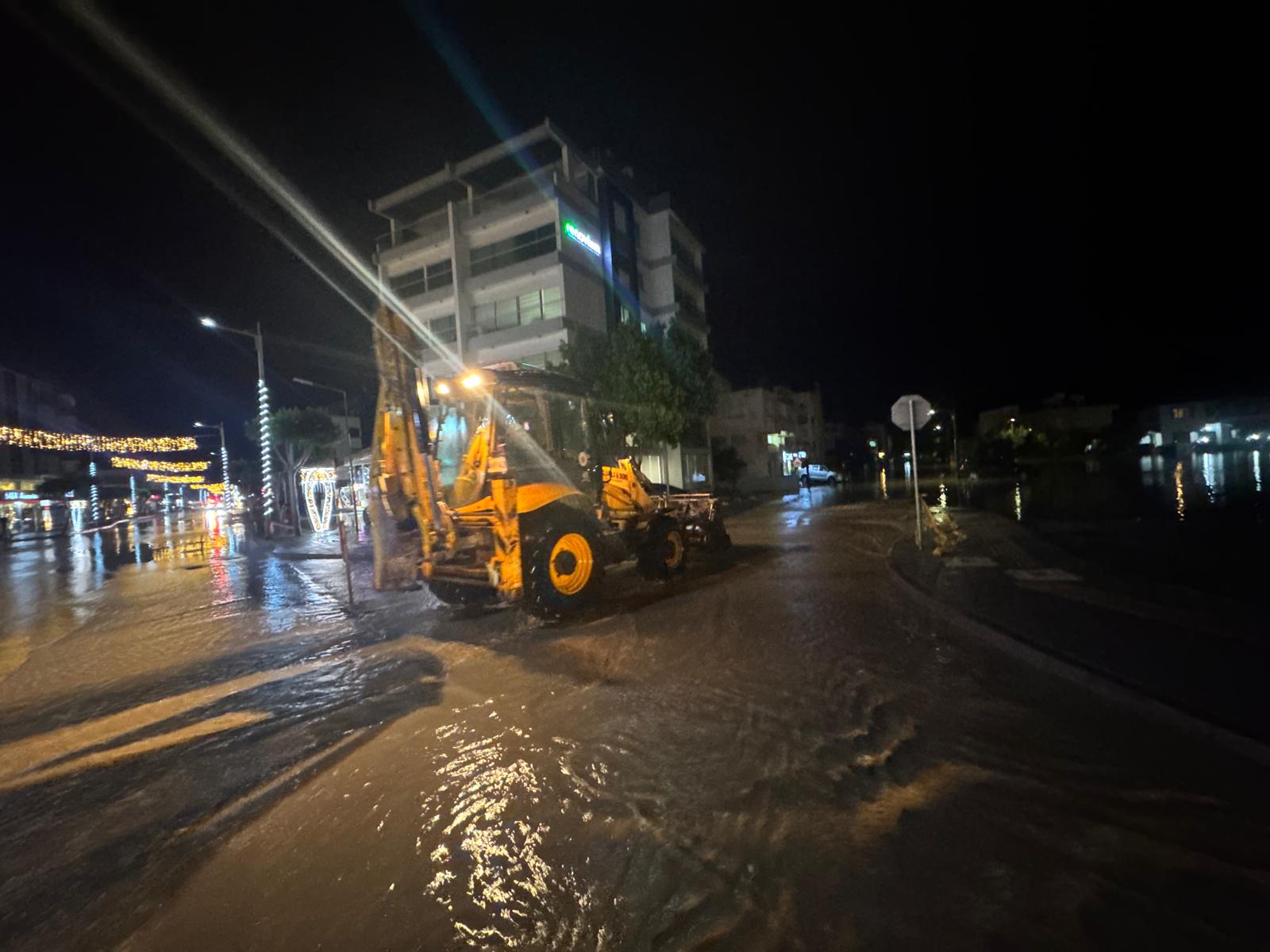 1765349701816Sel (Mk) (16)