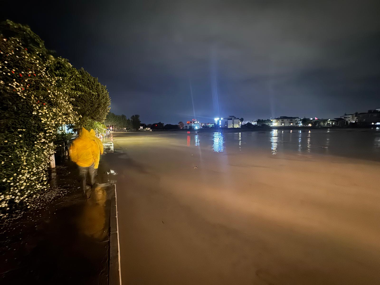 1765349701824Sel (Mk) (7)