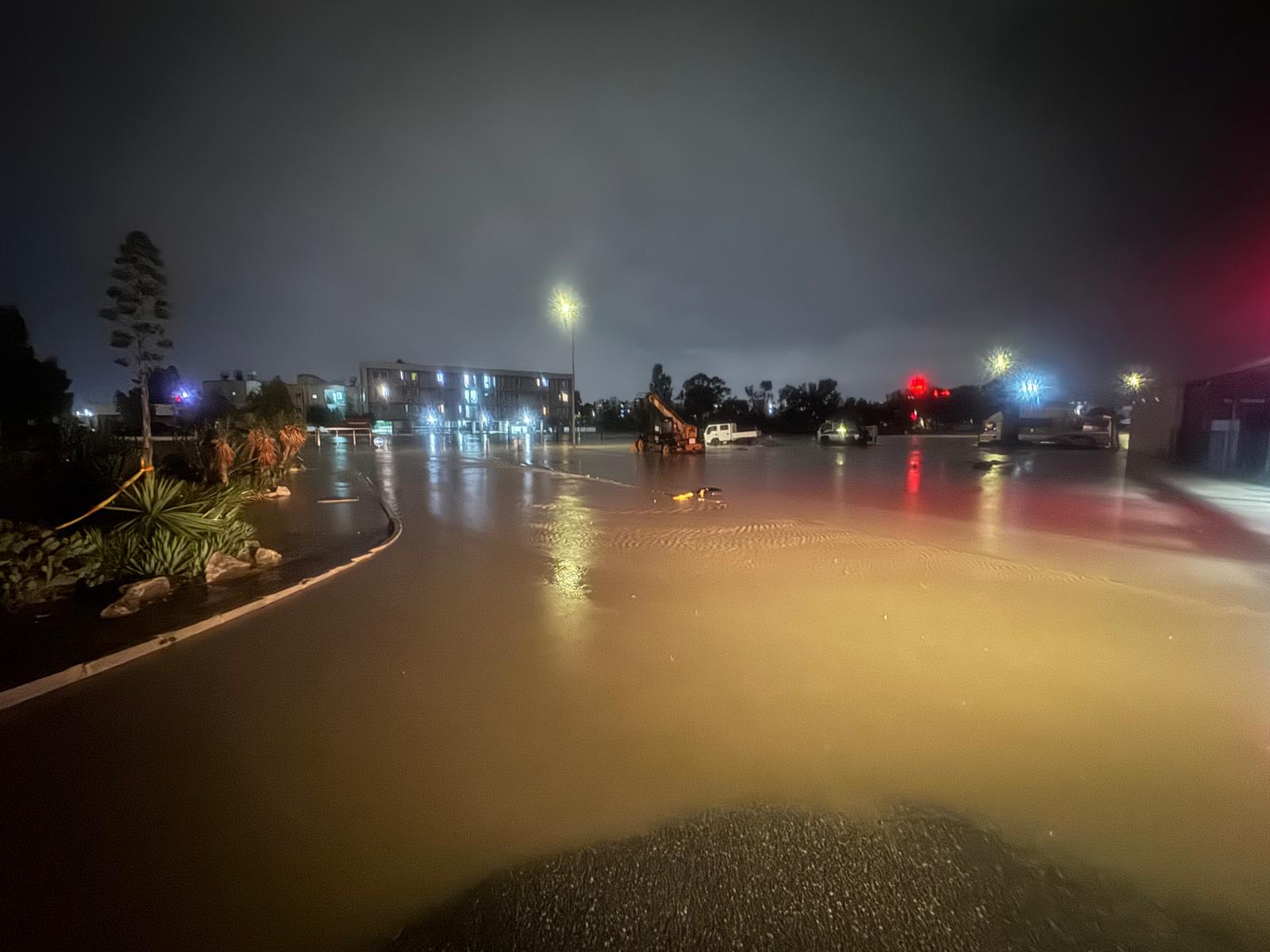 1765349701826Sel (Mk) (10)