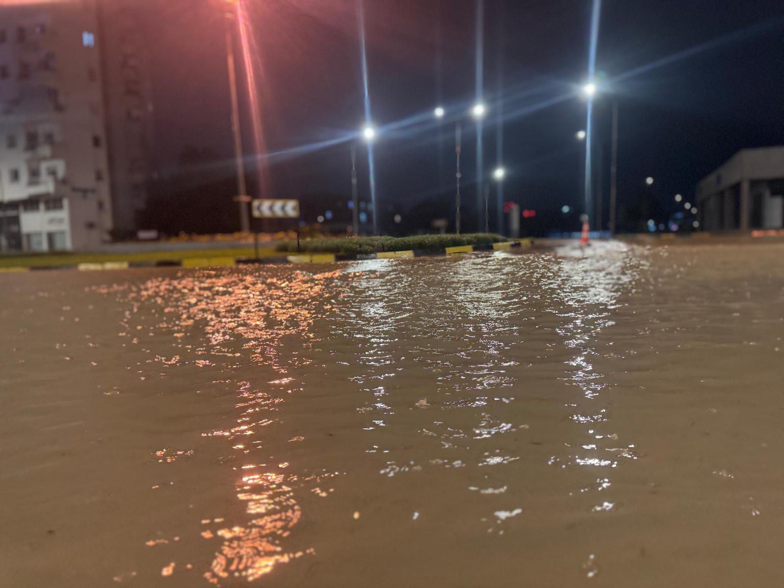 1765349701829Sel (Mk) (12)