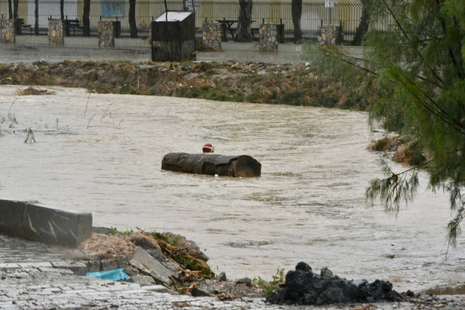 1765360145713Yağmurlar (Ti̇m) 2-1