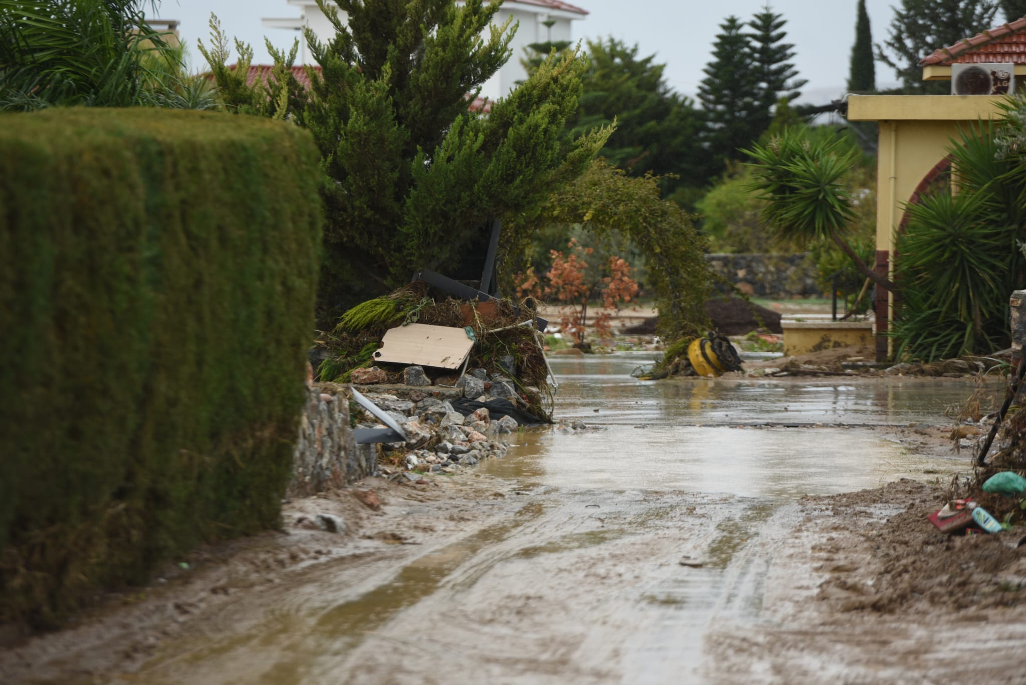 1765459942161Sel Sonrası (Ero) (17)