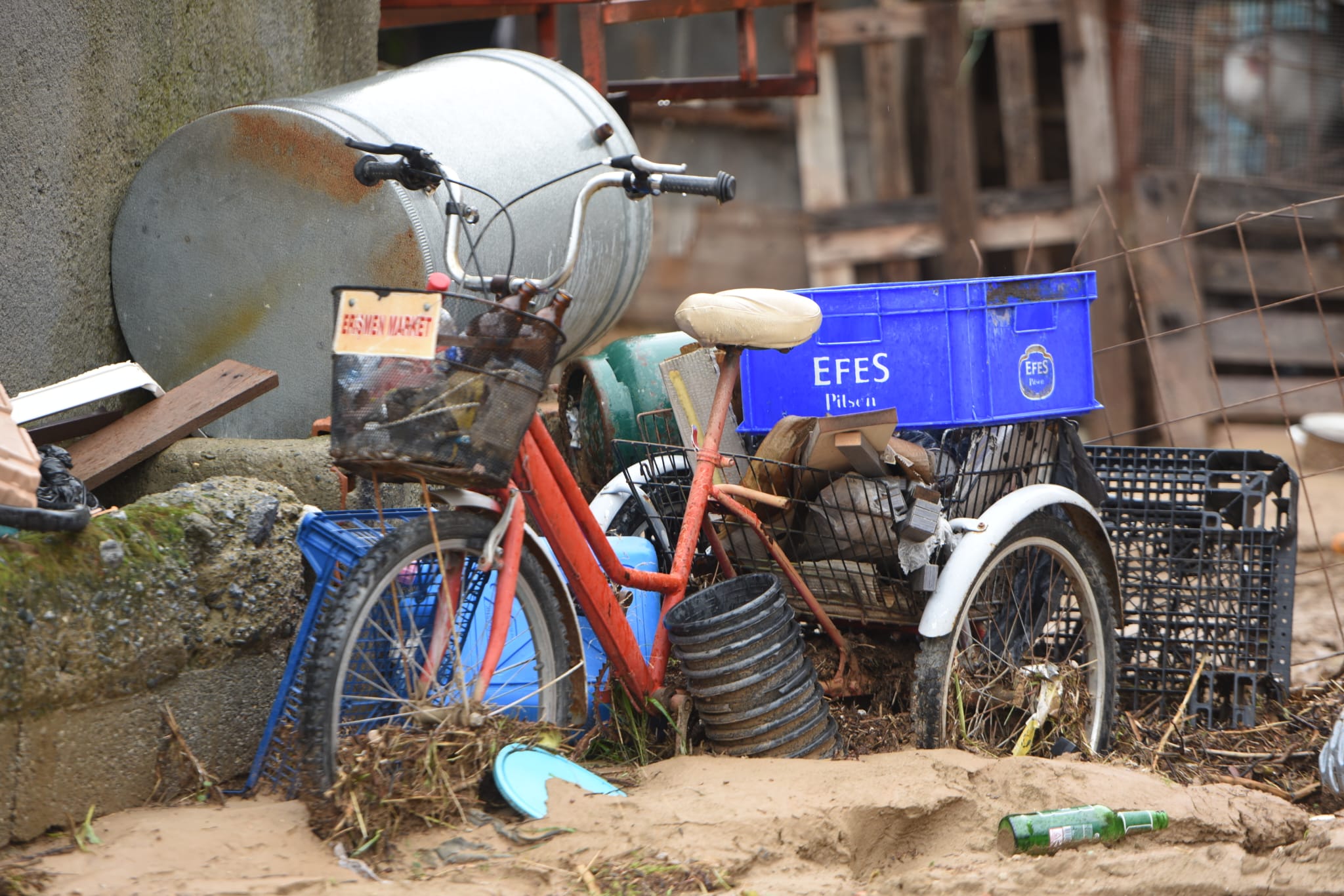 1765459942168Sel Sonrası (Ero) (35)