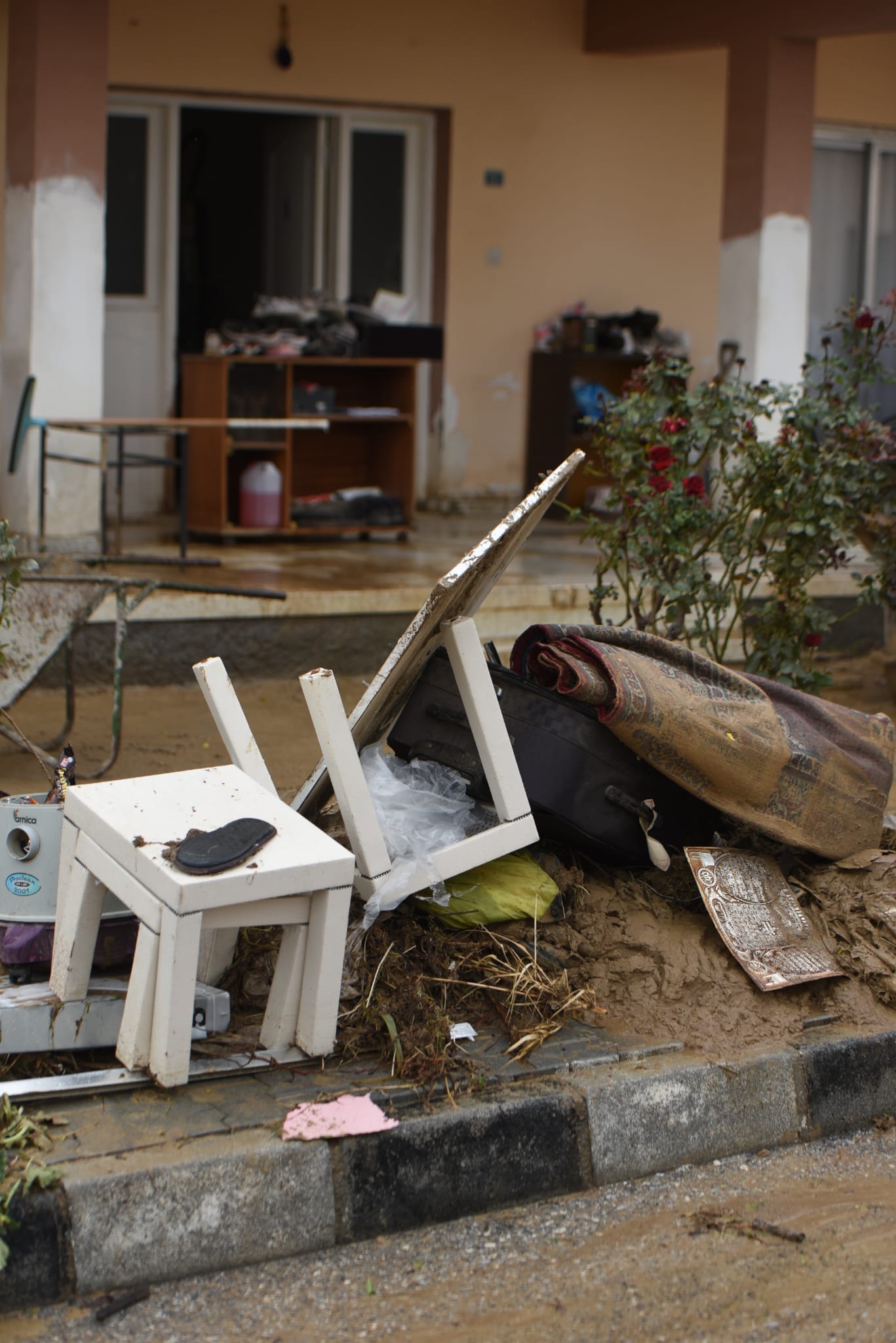 1765459942174Sel Sonrası (Ero) (5)