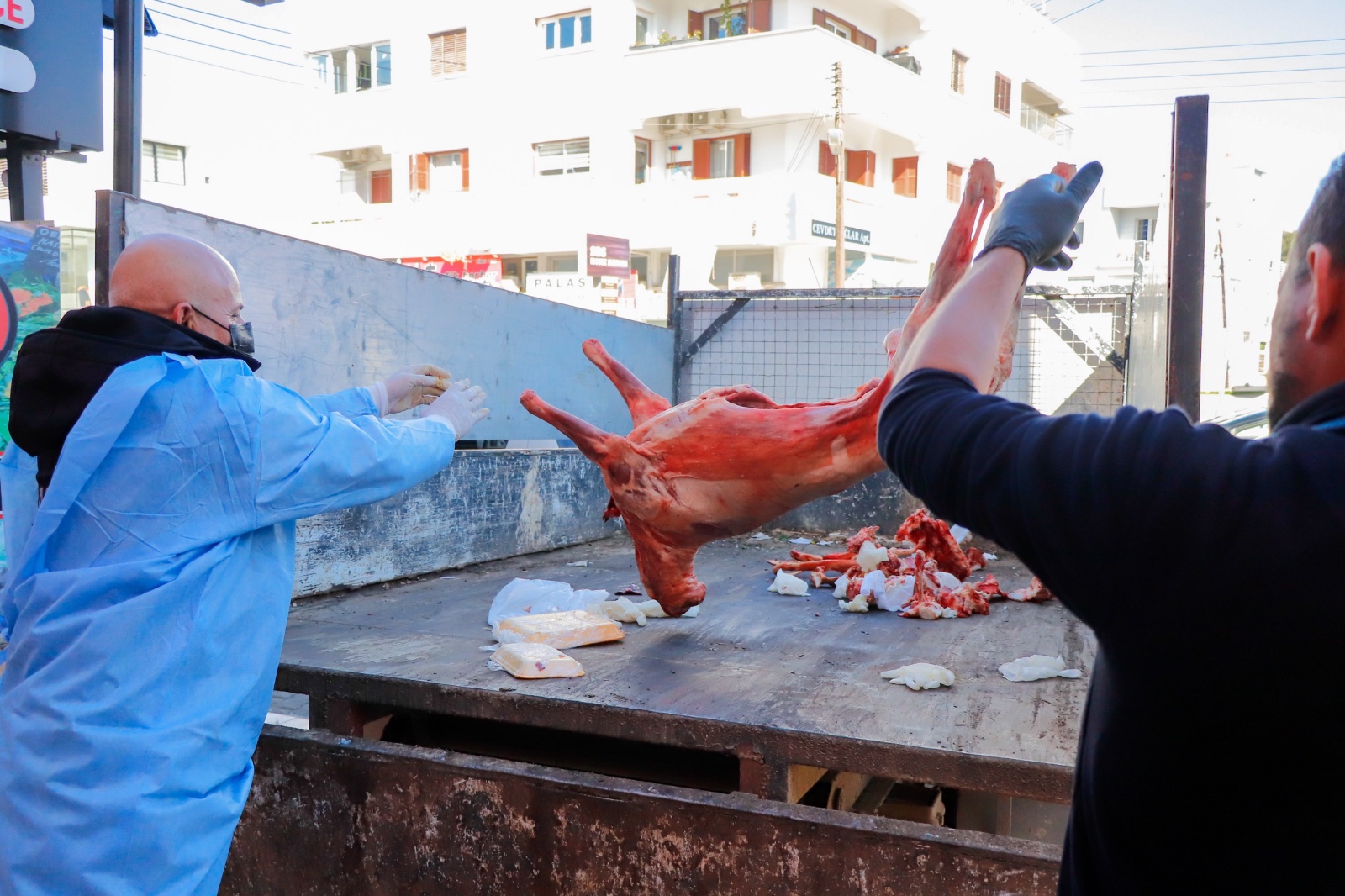 615790671 1441898727938484 2816007645427854288 N