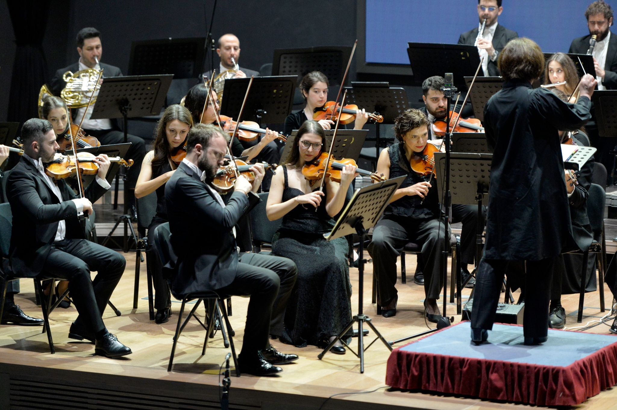 1771062785927Cso (1)