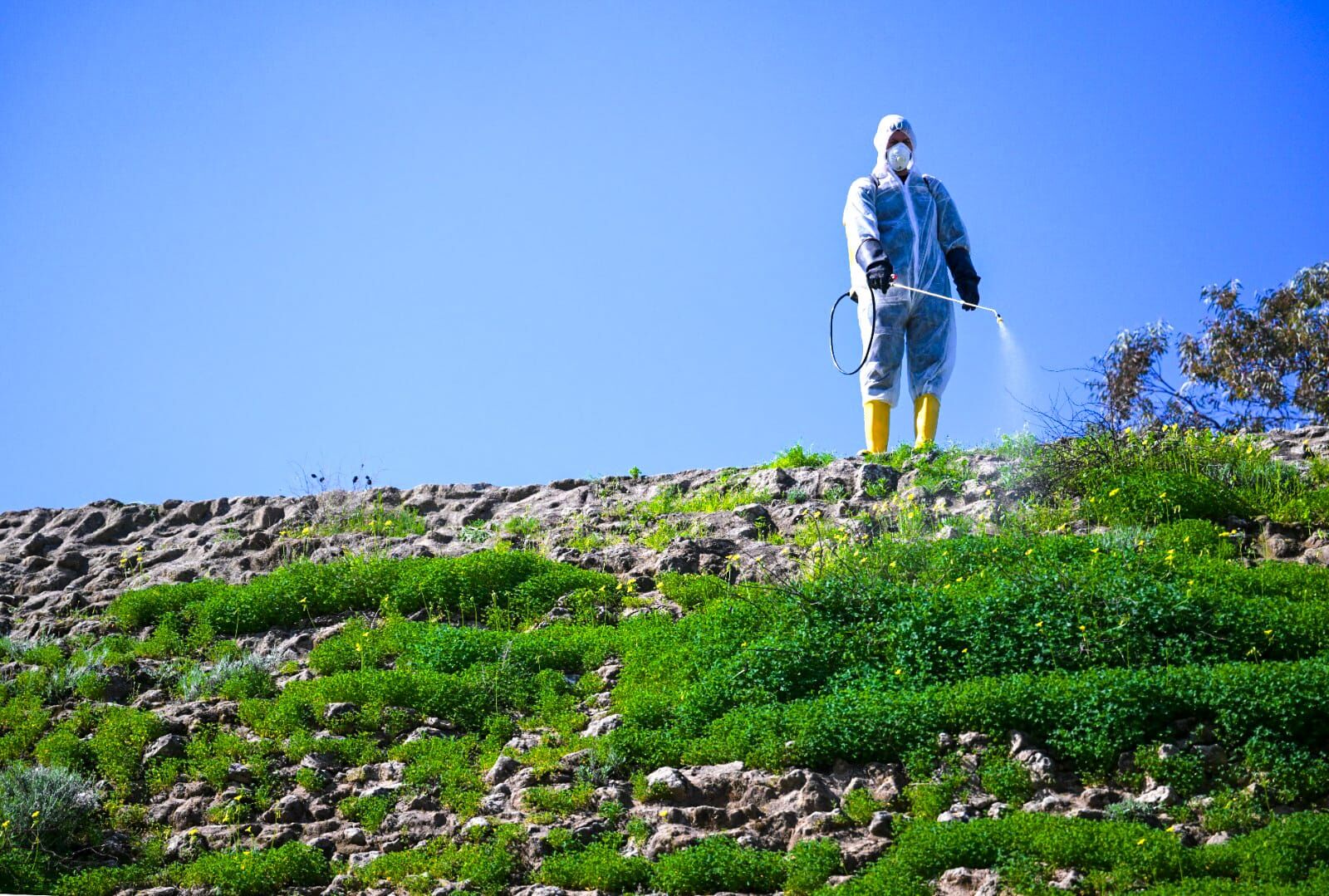 1772012069421Ltb Surlar (2)