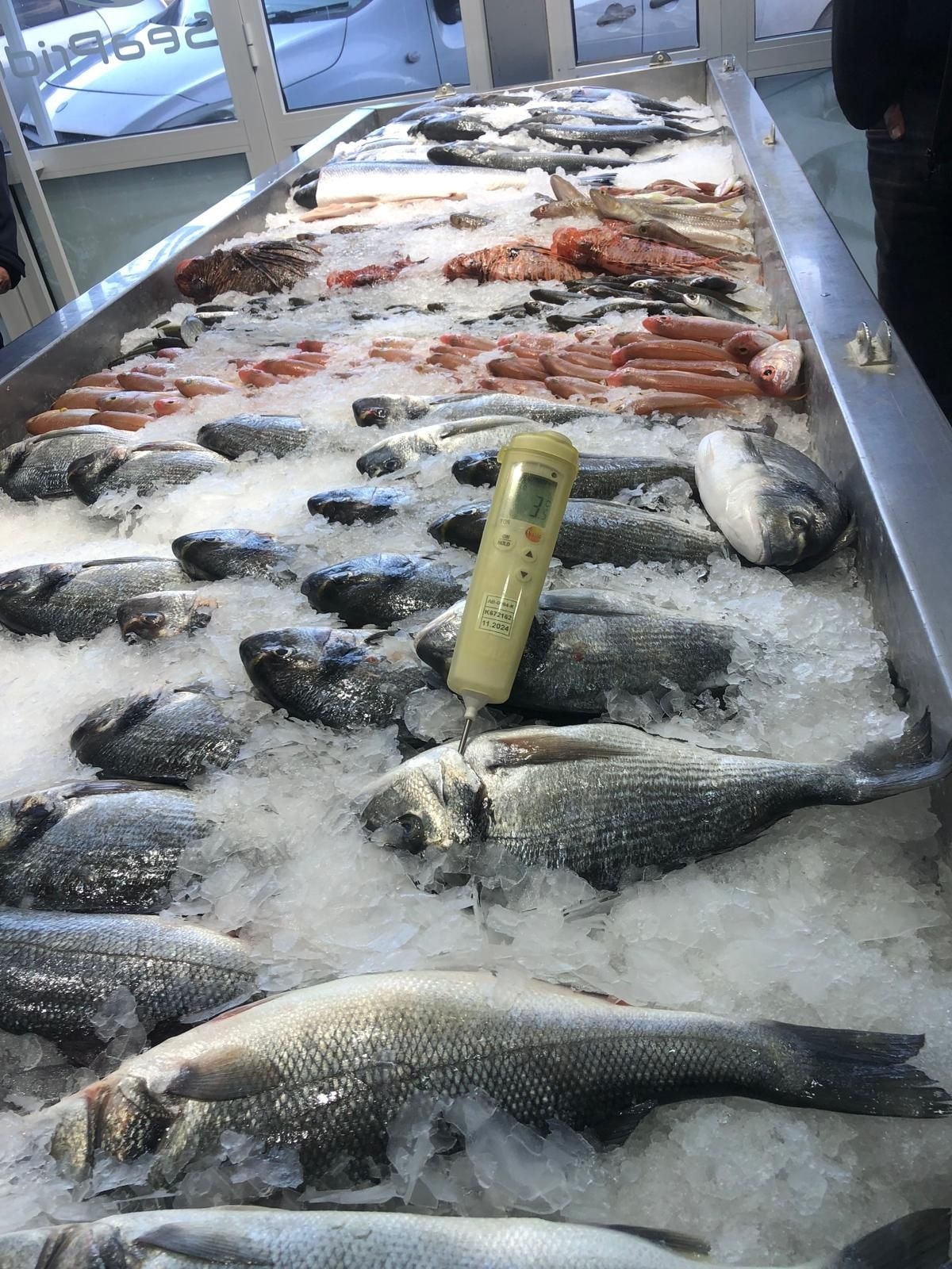 638294733 1360442759459661 5378145834948561409 N