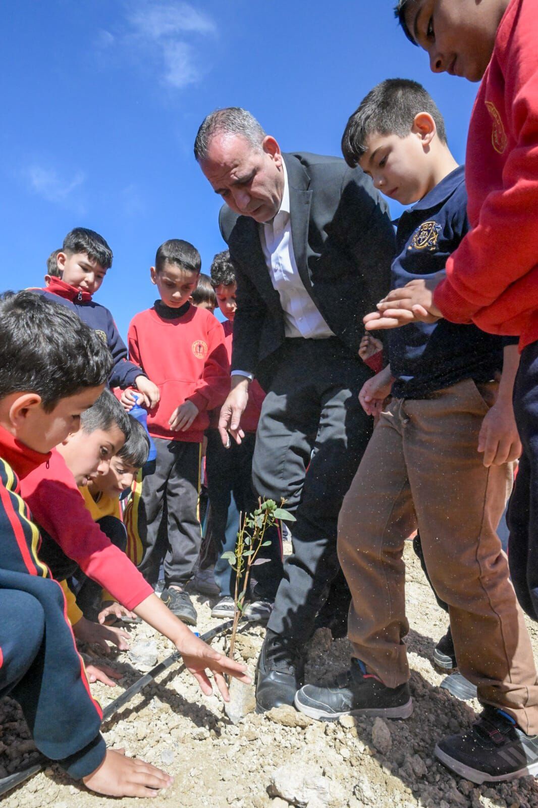 1773054541274Hamitkoy Fidan Dikimi (8)