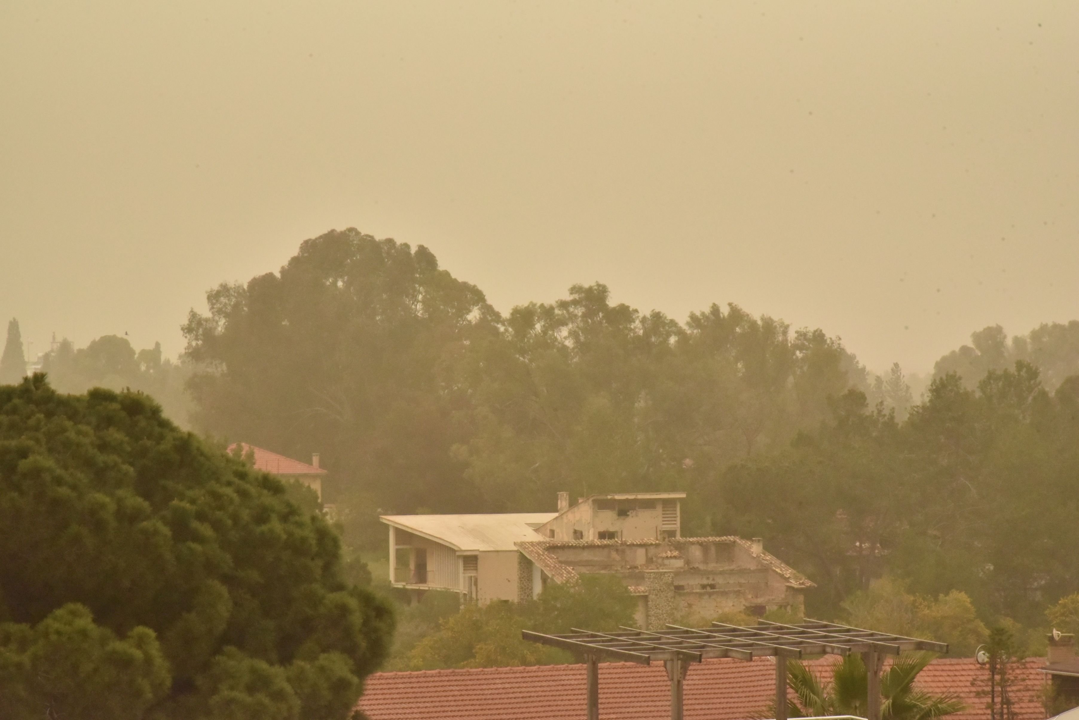 1775204952838Toz Ti̇m (2)