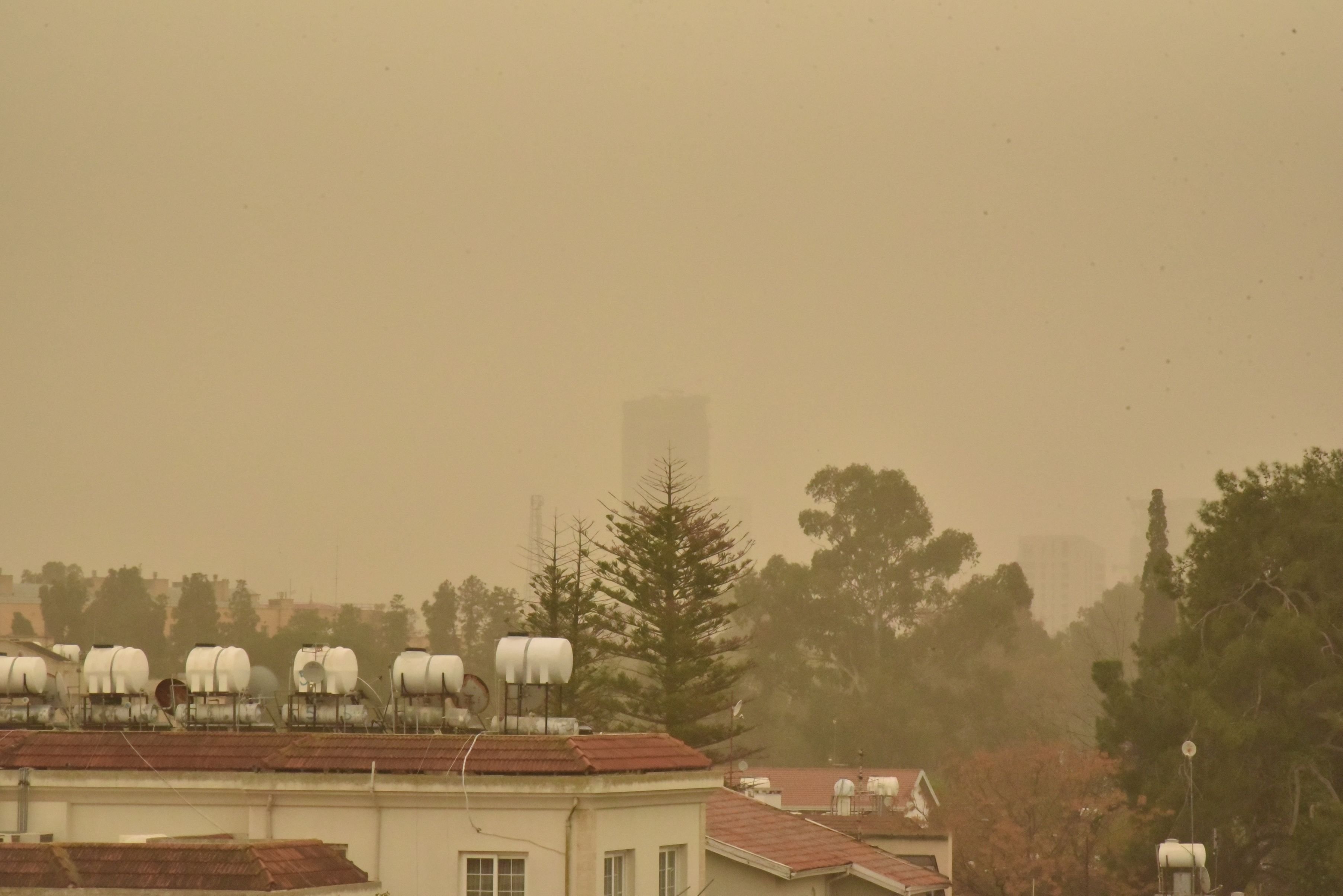 1775204952842Toz Ti̇m (4)