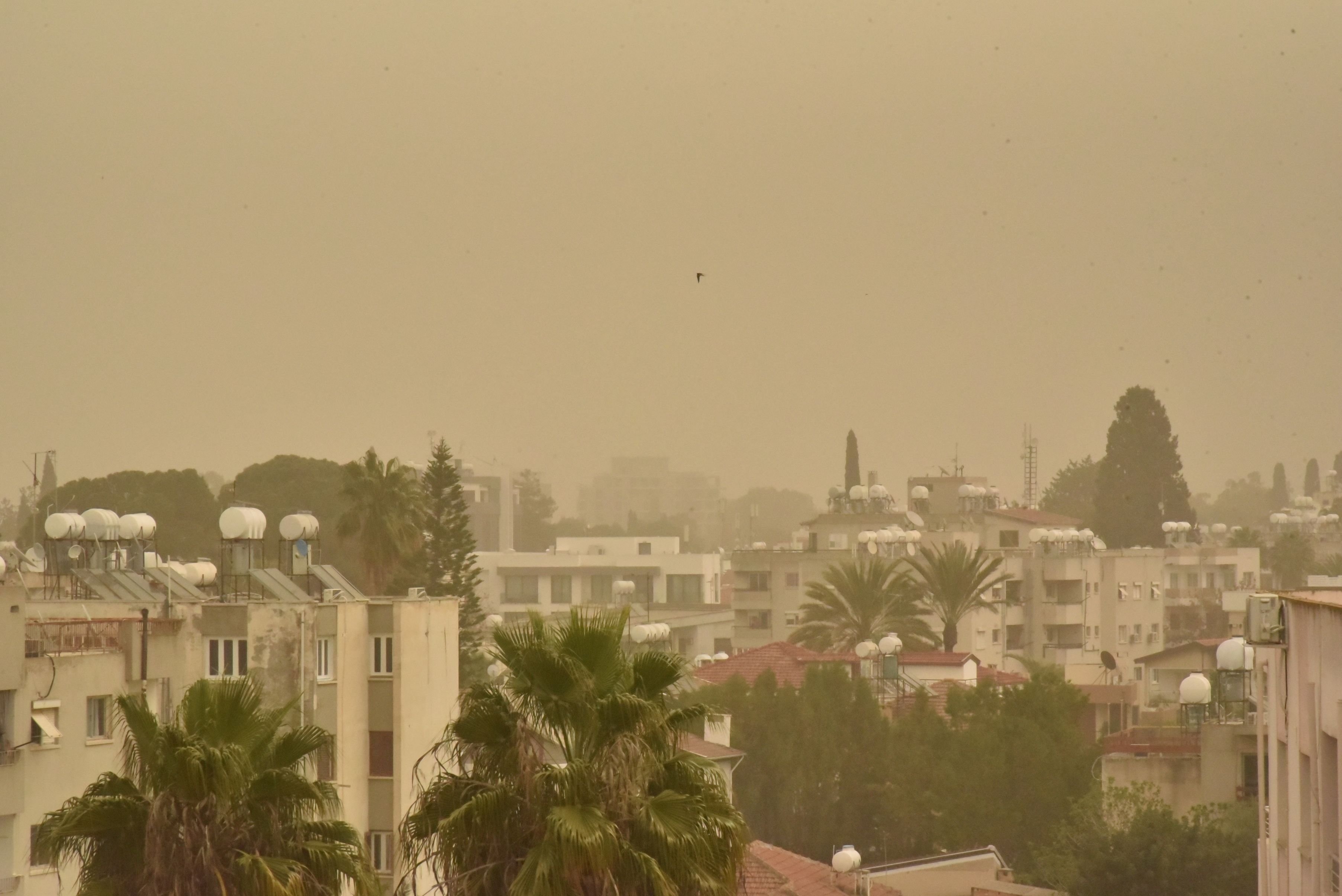 1775204952843Toz Ti̇m (1)