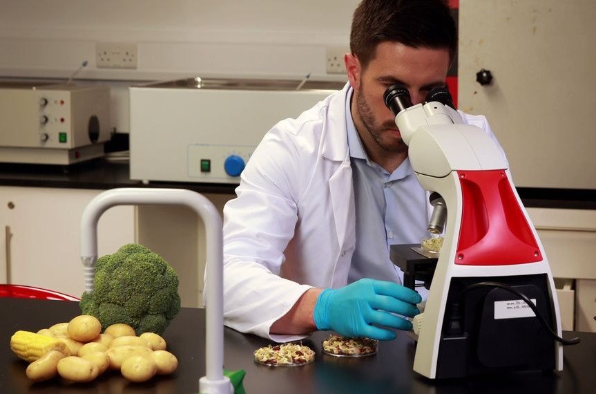 Gıda denetimleri… Yerli ürünlerin 6'sında tavsiye dışı ve limit üstü bitki koruma ürünü