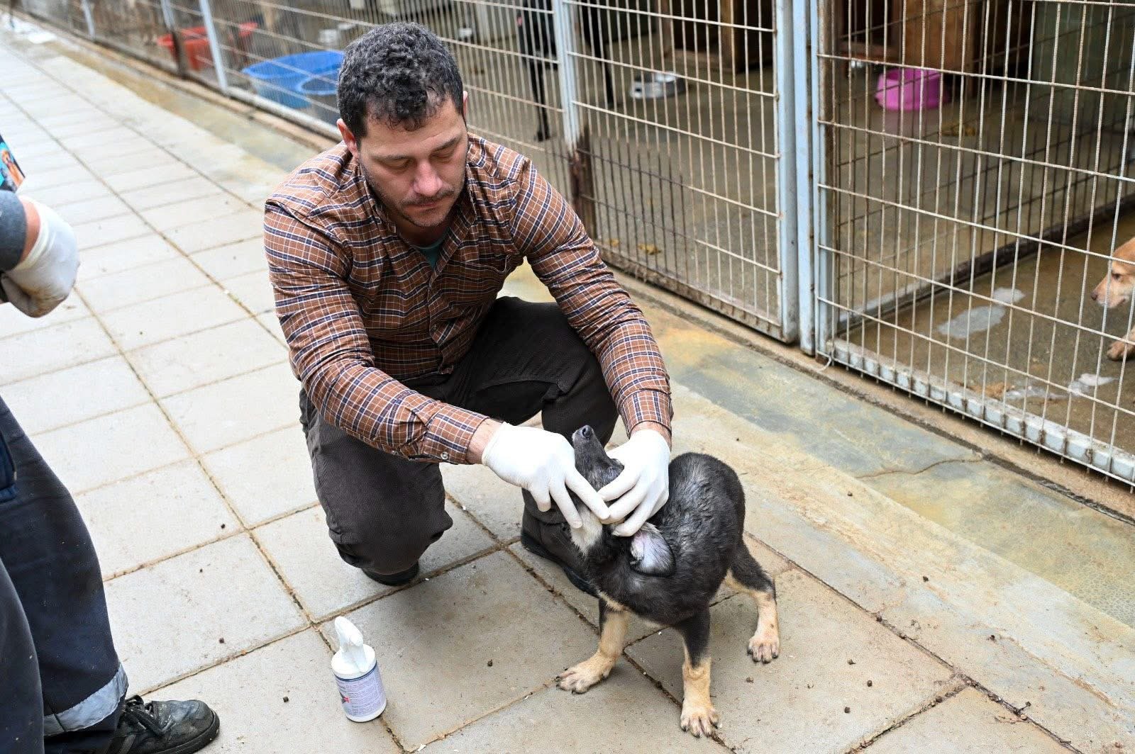 1775380682592Gönyeli Alayköy Belediyesi (3)