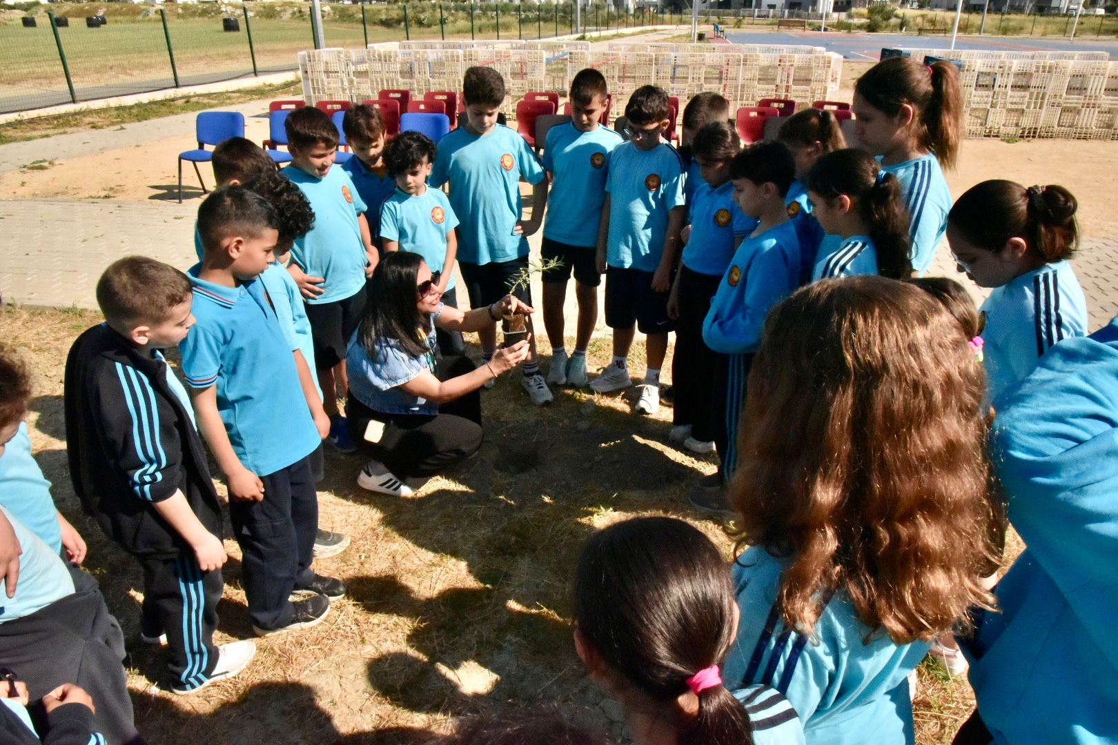 17774486016683C8Dc6F5 D89D 41F9 873A 3B22B846E65A