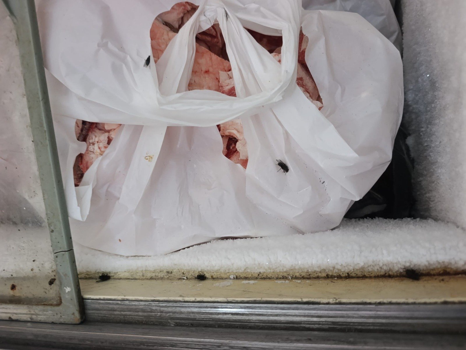 Gazimağusa Belediyesi “800 Kilo Et Ürünü Imha Edildi” (1)