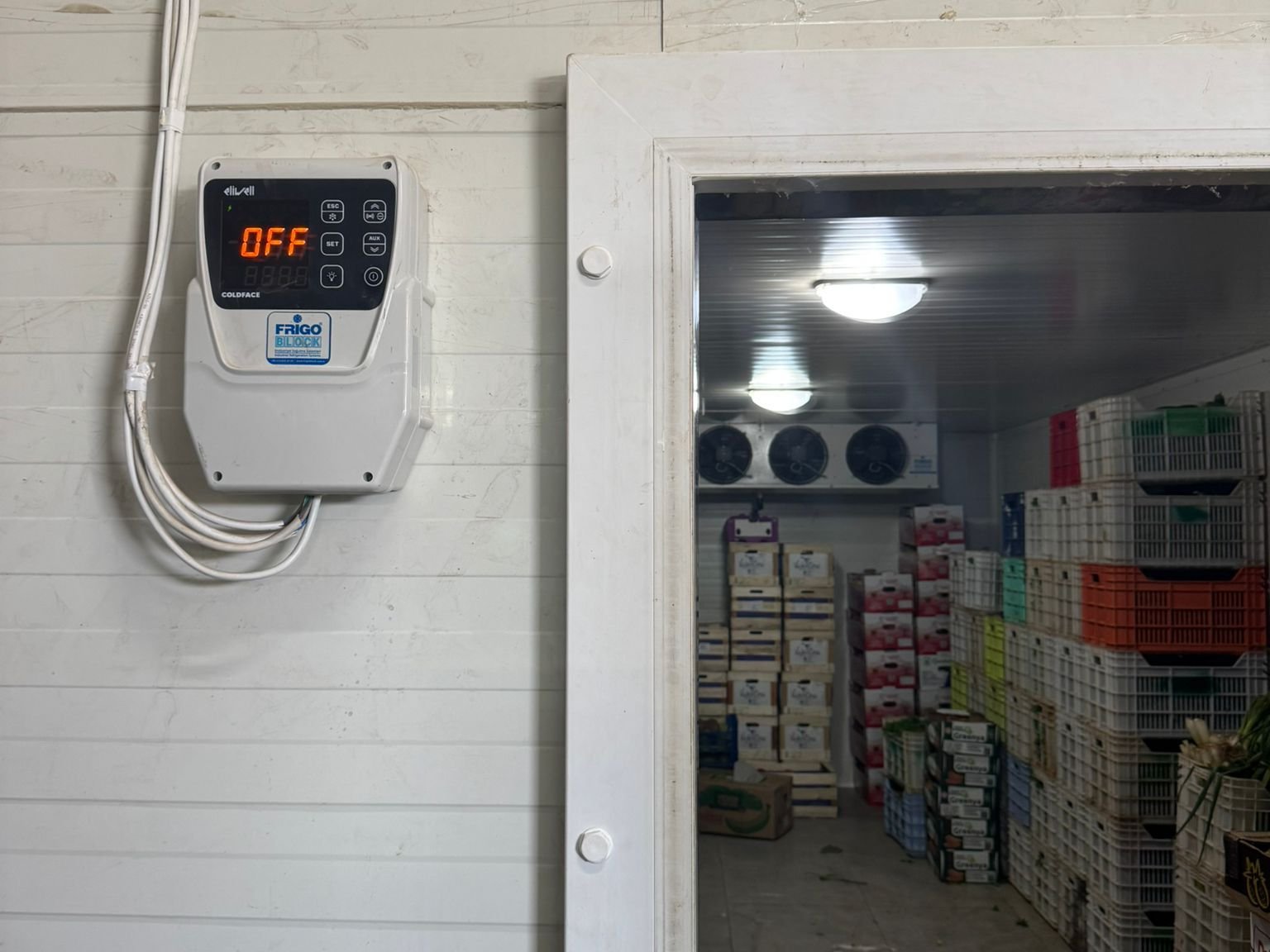 Gazimağusa Belediyesi “800 Kilo Et Ürünü Imha Edildi” (2)