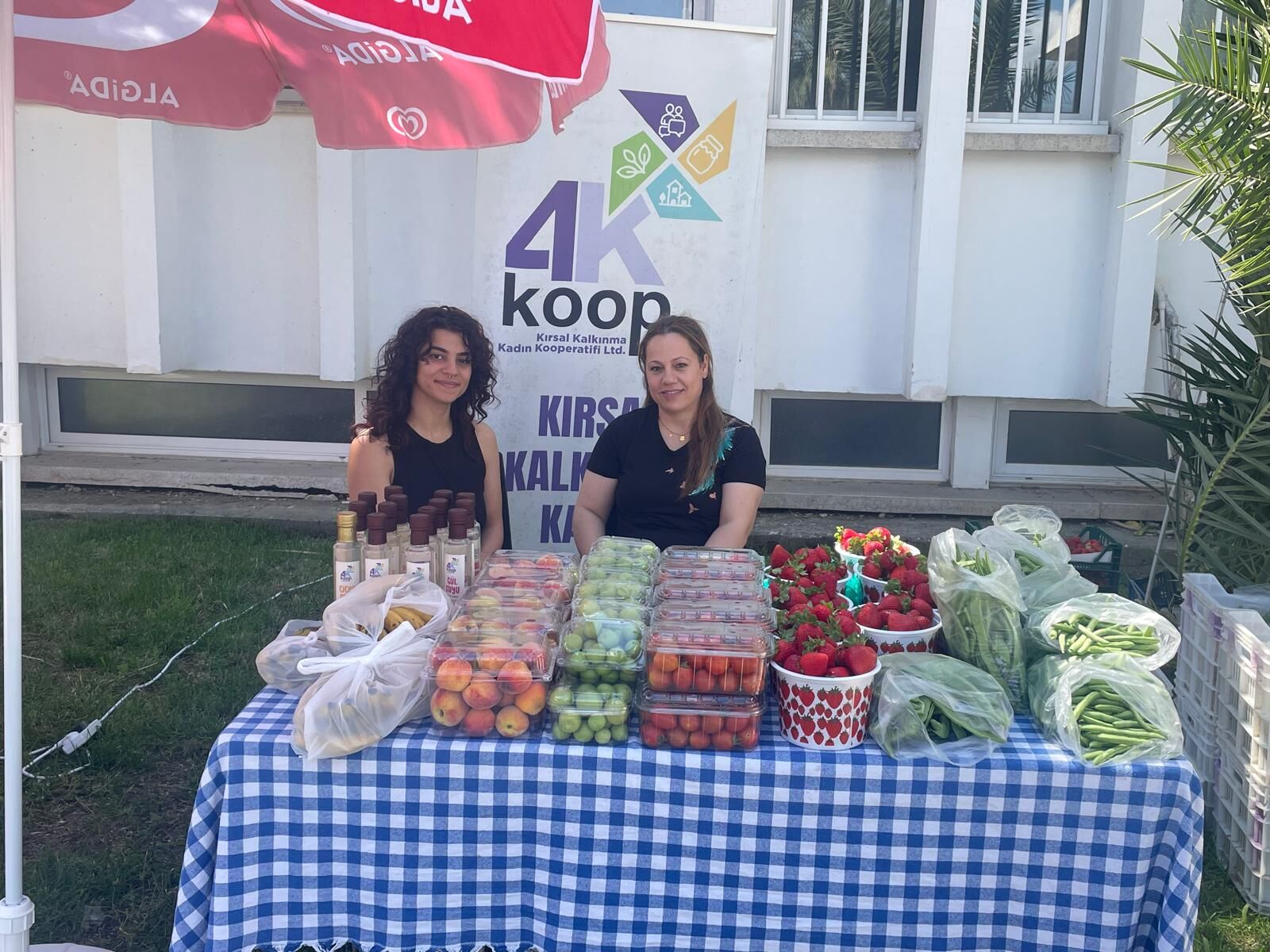1779357059421Kermes 12