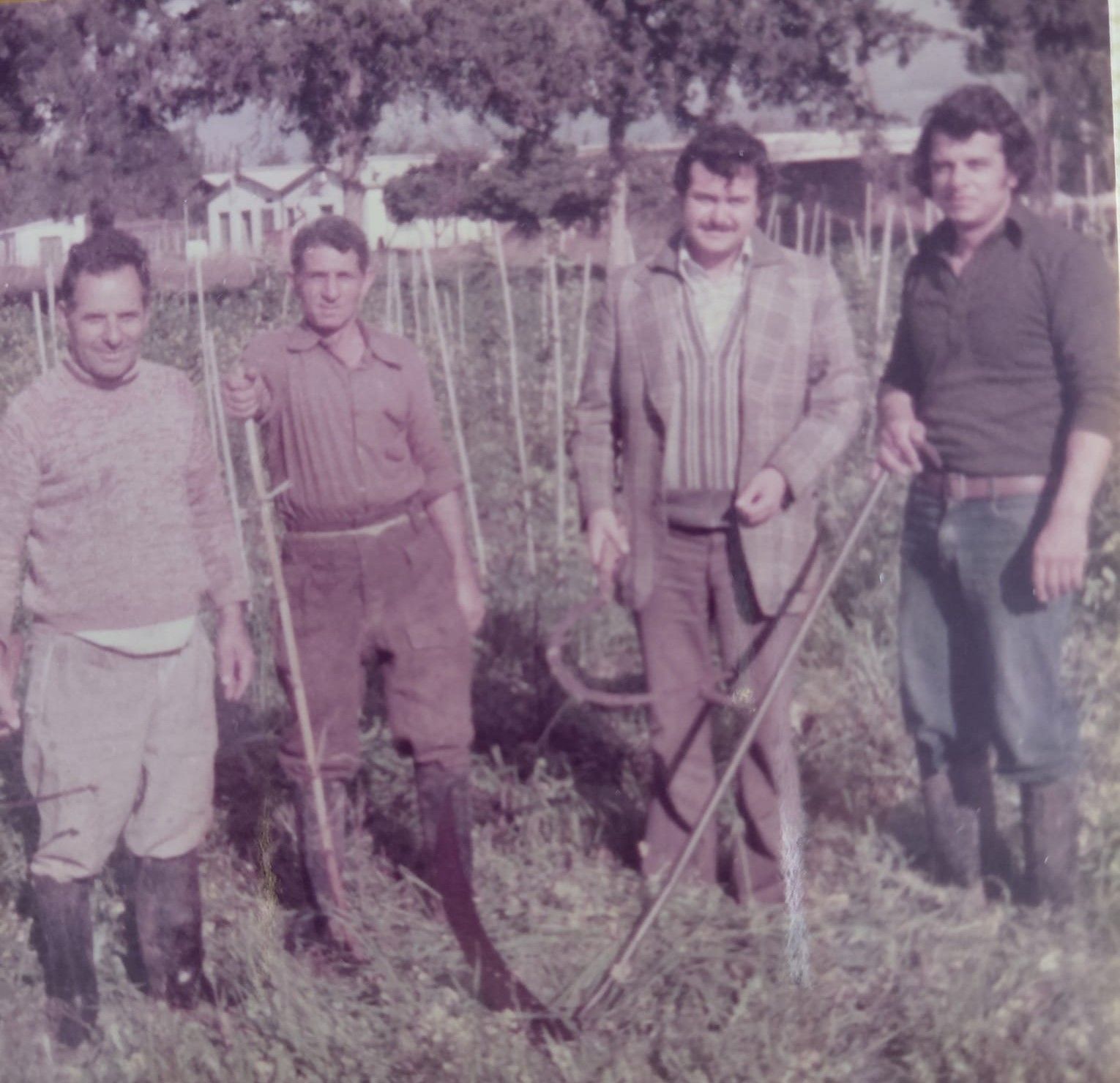 1792305308753Sözal Gürçinar Kopya