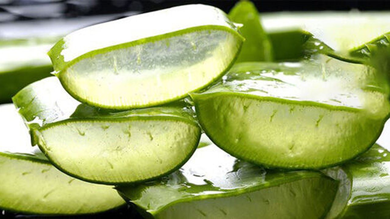 aloe vera synergie skin gel Aloe Vera Gel mit Kalt-Warm-Effekt