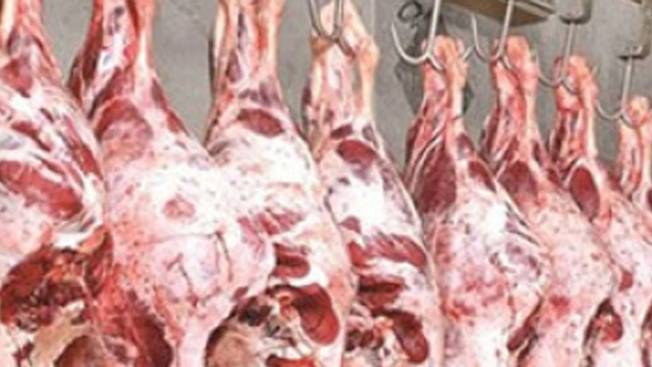 Yukarı Bostancı’da 5 Ton Kaçak Et Ele Geçirildi