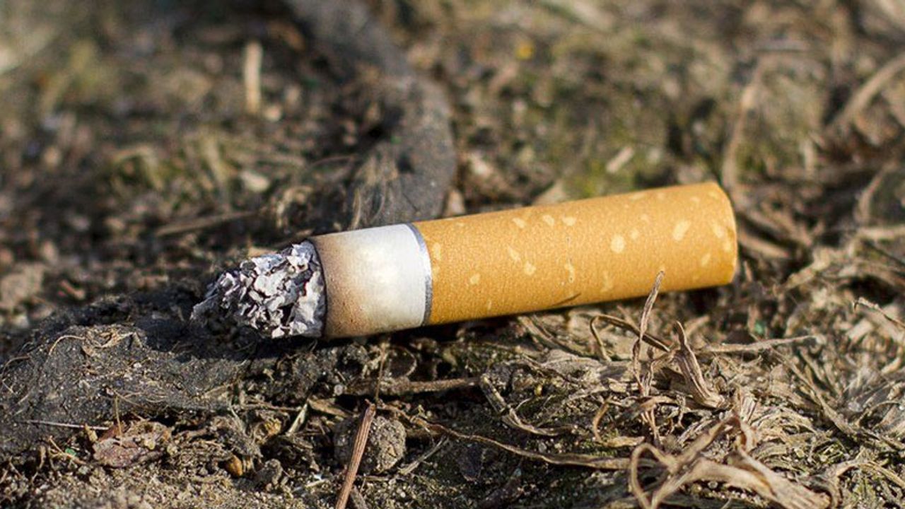 Yangın nedenlerinde ilk sıra yola atılan sigara izmaritleri...