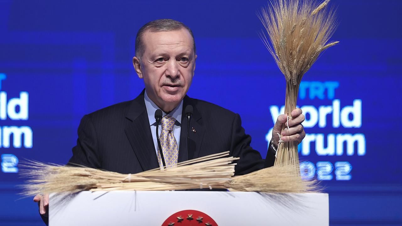 Erdoğan, tahıl krizini çözmek amacıyla Putin ve Zelenskiy ile görüşecek