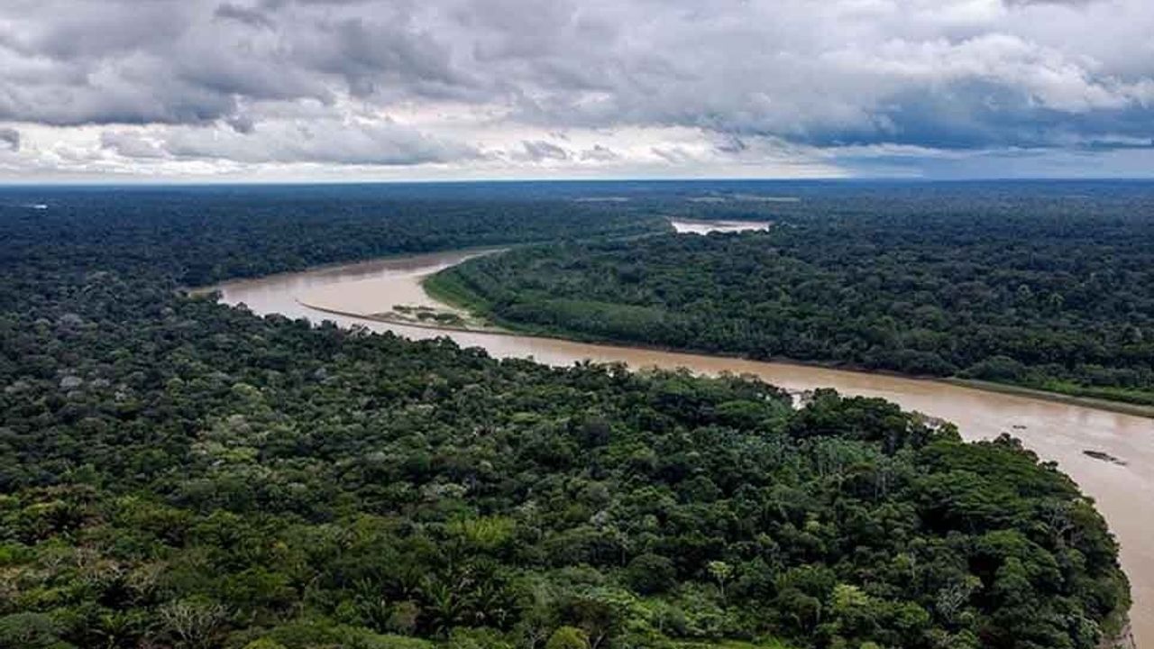 Amazon'da 2022’de günde 3 bin futbol sahası büyüklüğünde orman yok oldu
