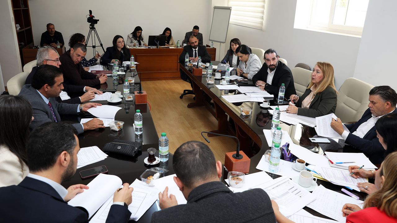 Hukuk, Siyasi İşler ve Dışilişkiler Komitesi toplandı