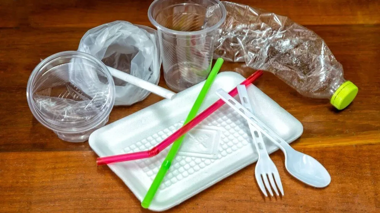 Benan: “Tek kullanımlık plastiklerin yasaklanması elzemdir”