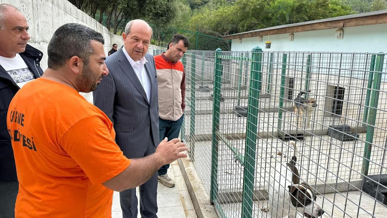 Cumhurbaşkanı Tatar, Girne’de köpek barınağını ziyaret etti
