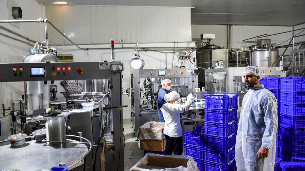 Koop Süt Yeni Yönetim Kurulu Başkanı Uluşan, üretim tesislerini denetledi