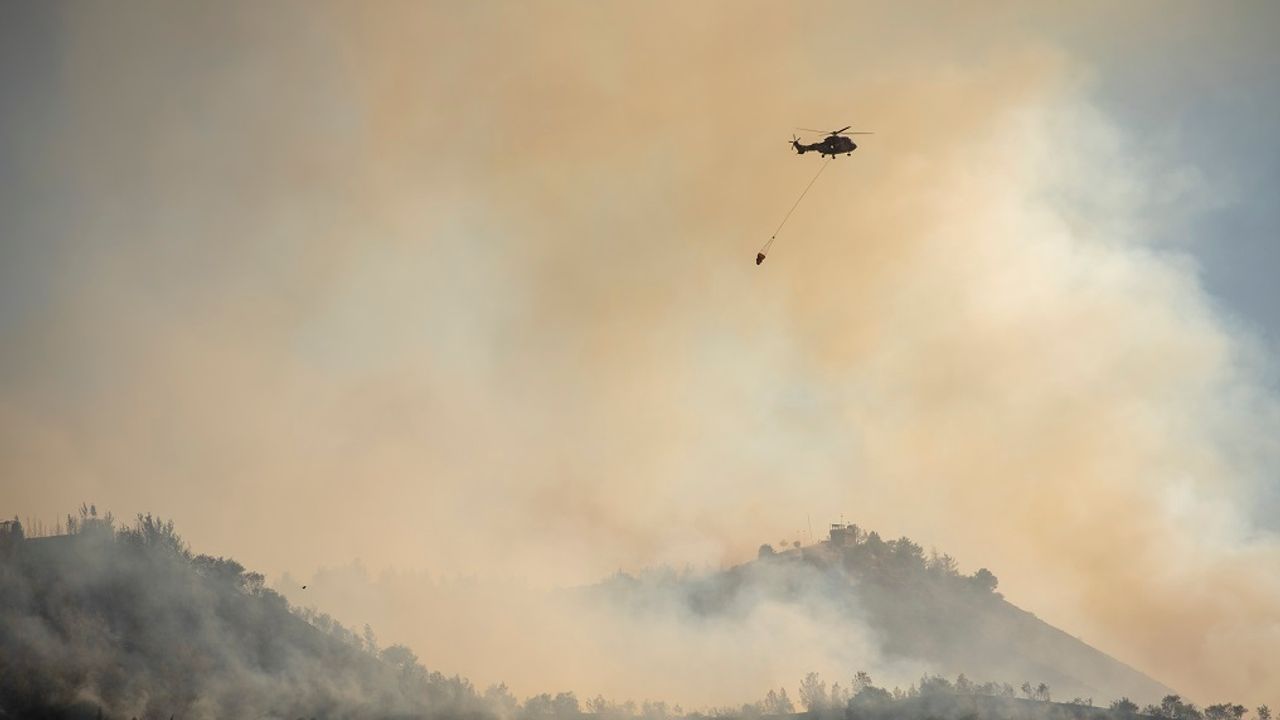 KEMA ve Orman Mühendisleri Odası’ndan orman yangınlarına karşı ivedi ve etkin tedbir alınması çağrısı
