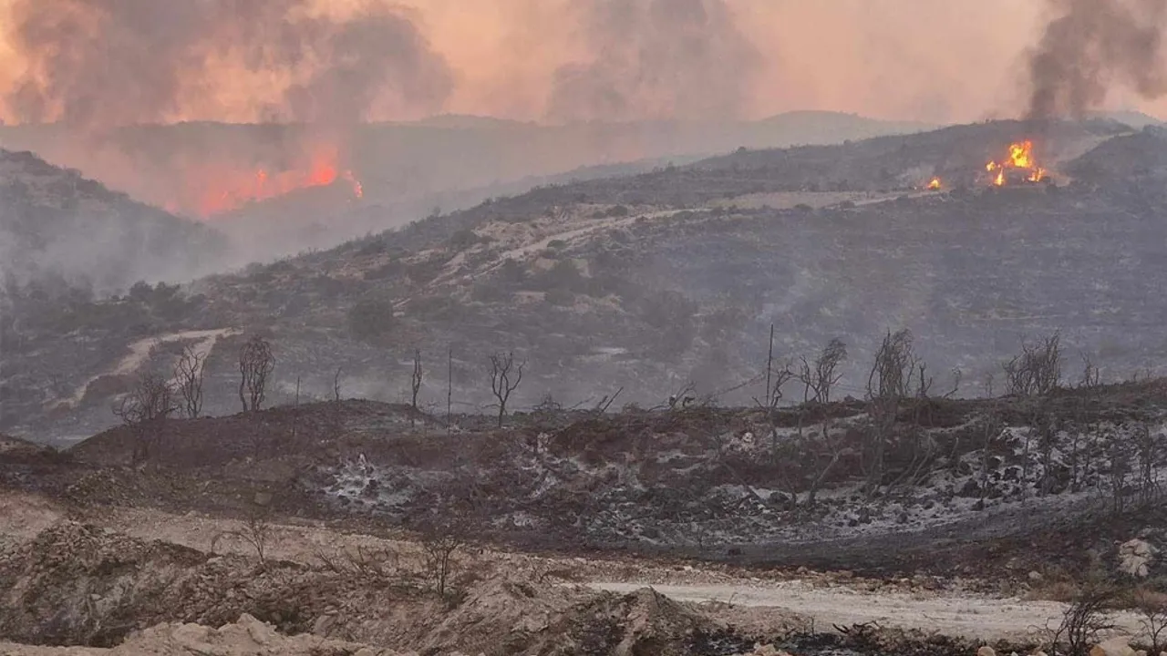 Güney Kıbrıs Limasol yangının maliyeti