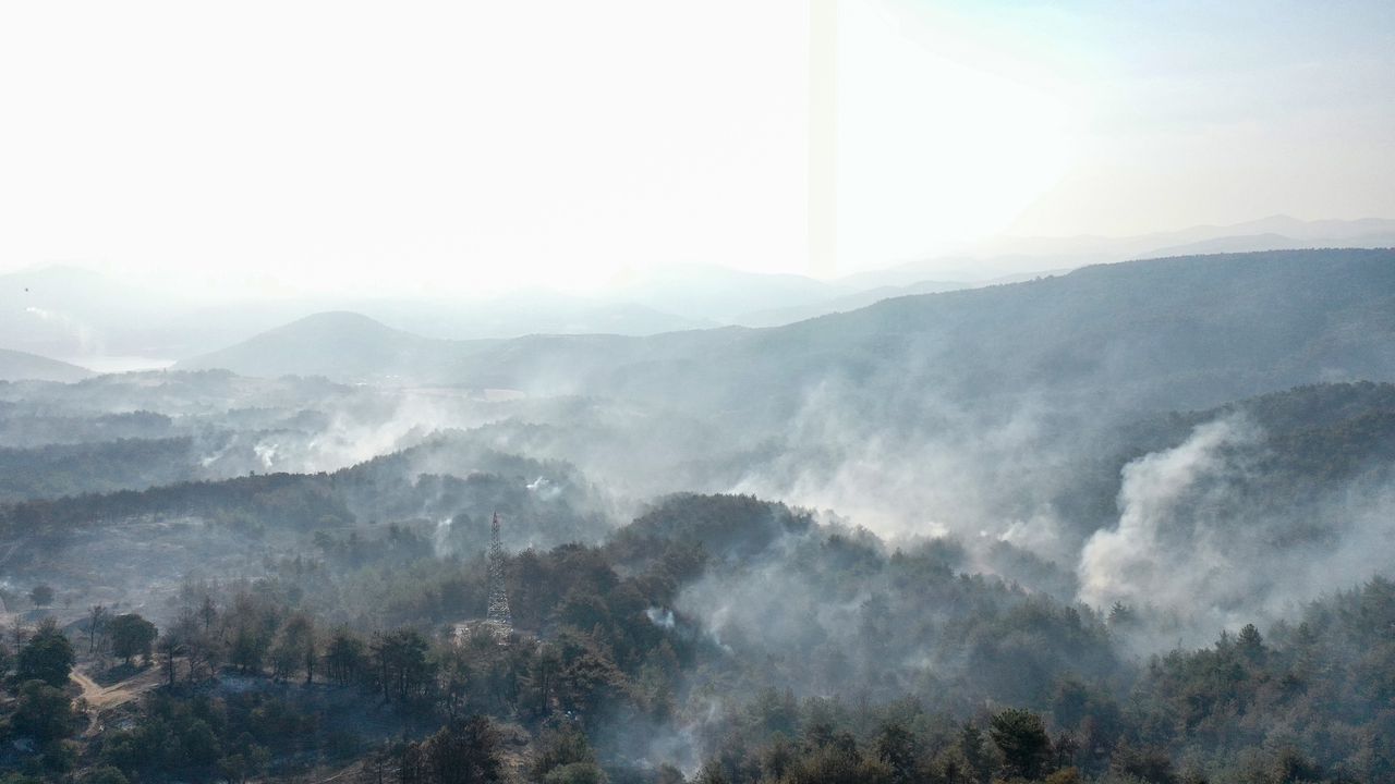 Çanakkale'deki orman yangınında 1251 kişi tedbir amaçlı tahliye edildi