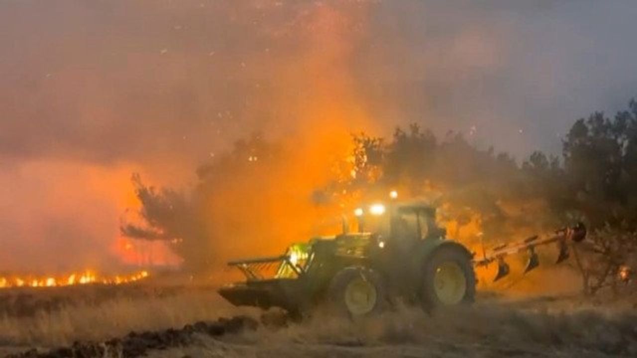 Yunanistan'da orman yangınında bir kişi hayatını kaybetti
