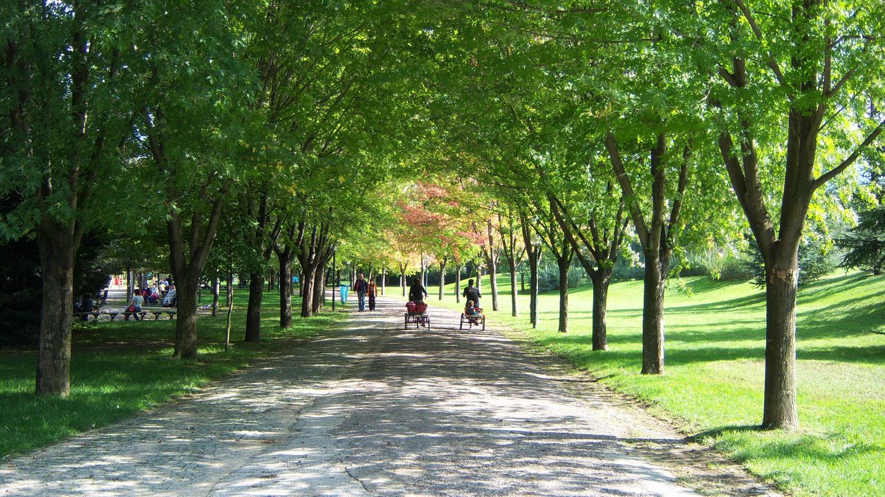 “Hirokitia” köyündeki Kıbrıs Türk arazisine botanik parkı yapılacak