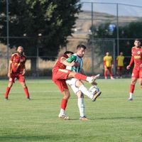 Spor