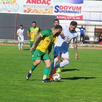 Spor