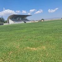 Spor