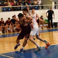 Spor
