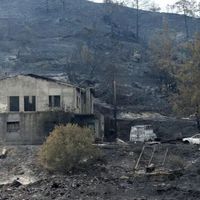 Güney