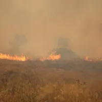 Dünya