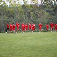 Spor