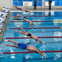 Spor