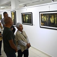Kültür-Sanat