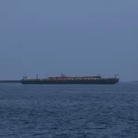 Dünya