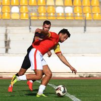 Spor